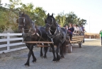 Horse-drawn wagon rides by Access Adventure: 1024x685